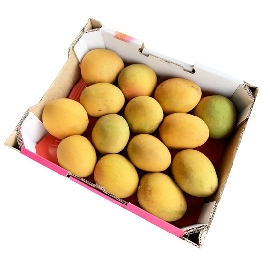 Mango Calypso Tray