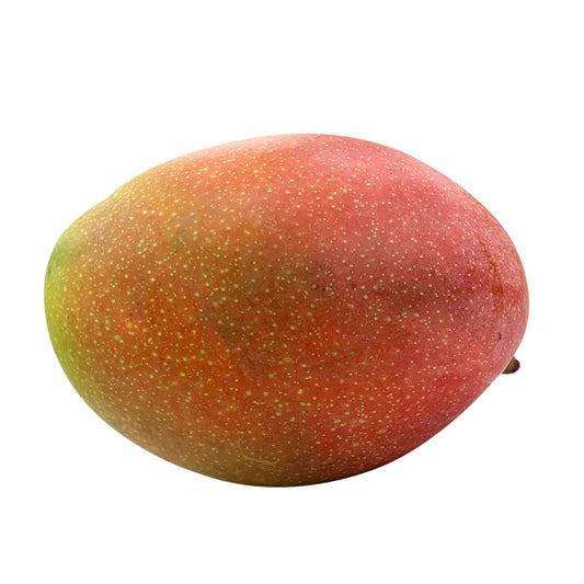 Mango Pearl Each | Harris Farm Online