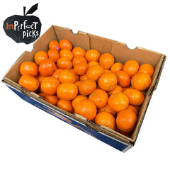 Mandarins Afourer (Imperfect Case Sale) | Harris Farm Online