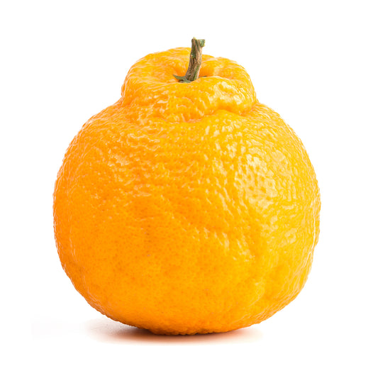 Mandarins Dekopon | Harris Farm Online