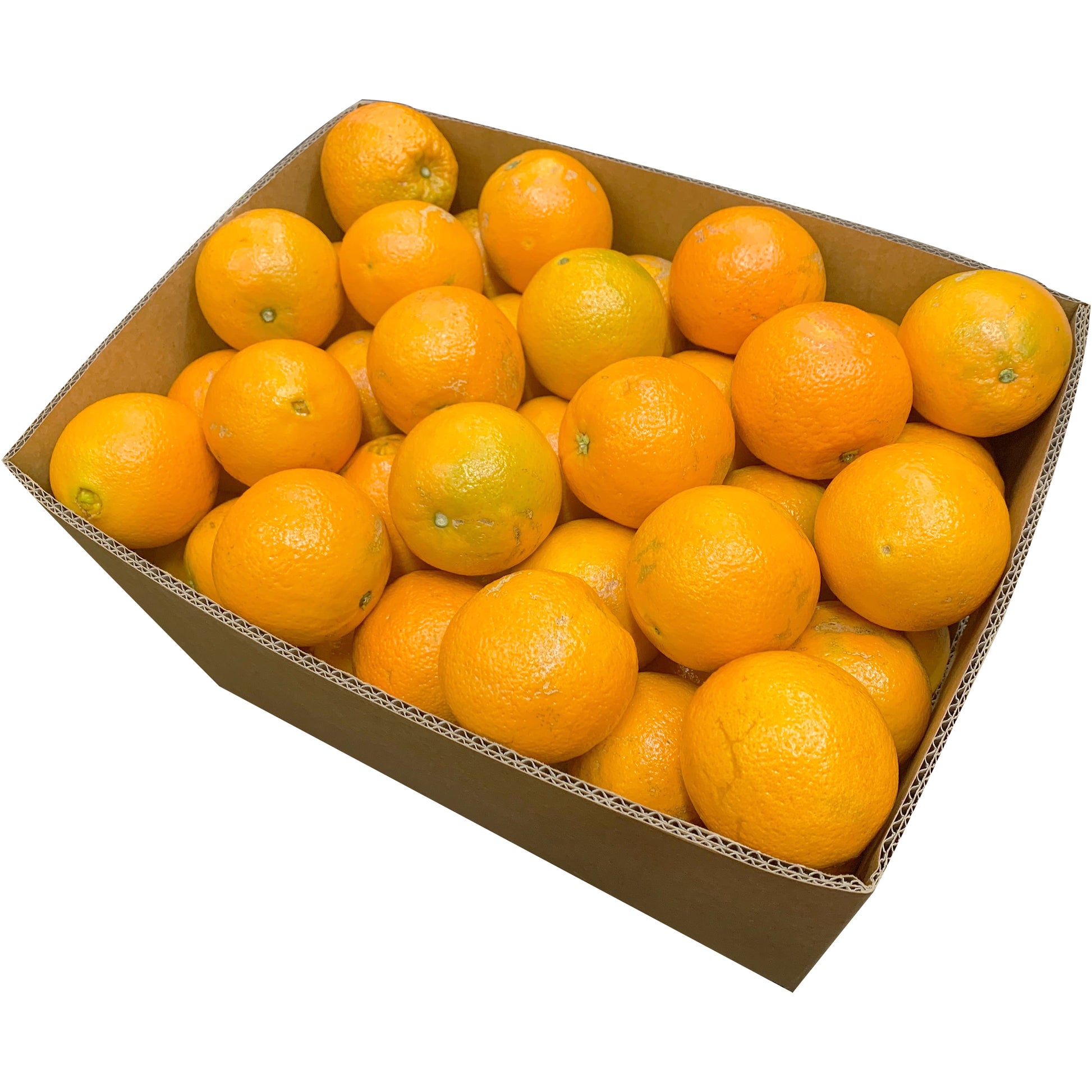 Oranges Navel Case | Harris Farm Online