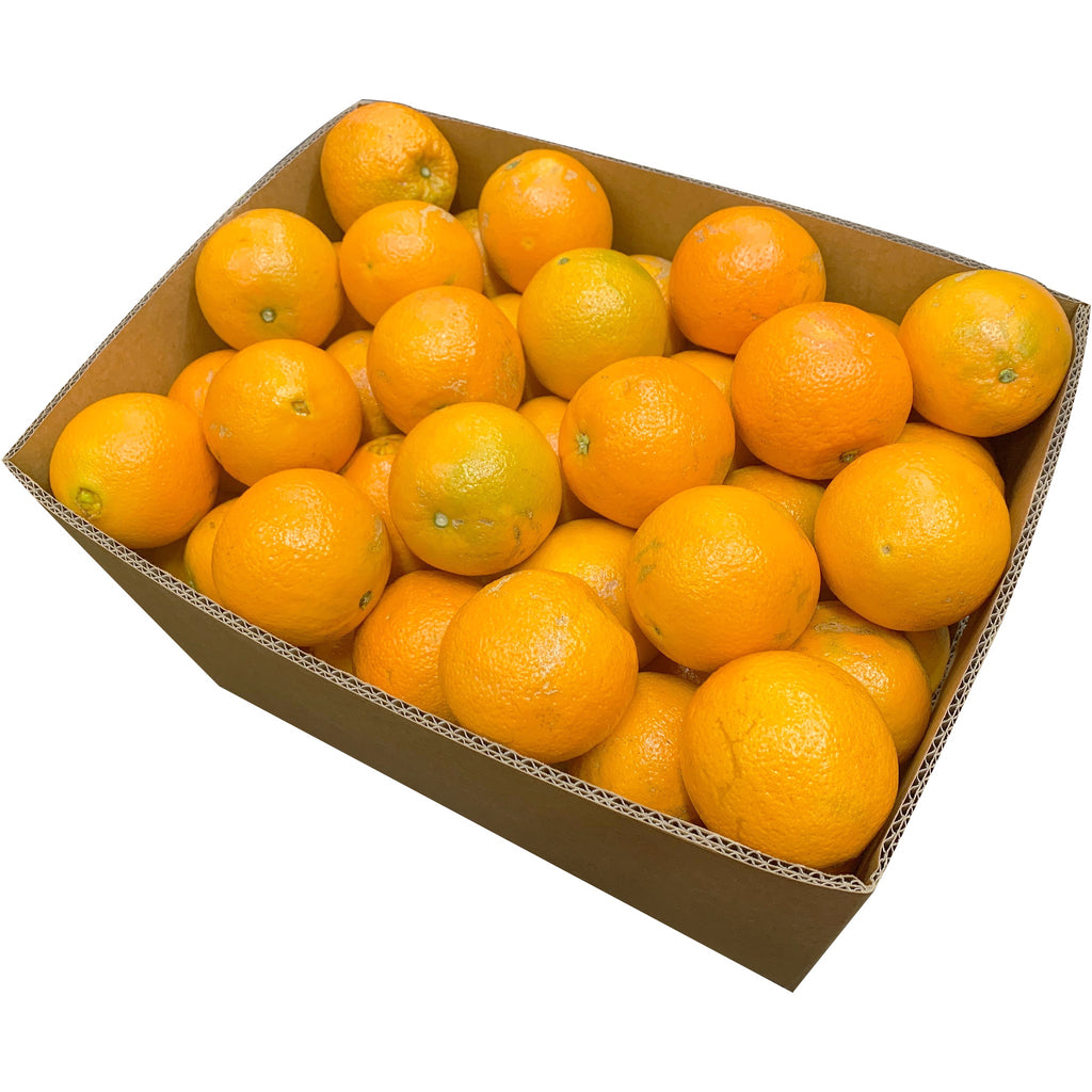 Oranges Navel Box