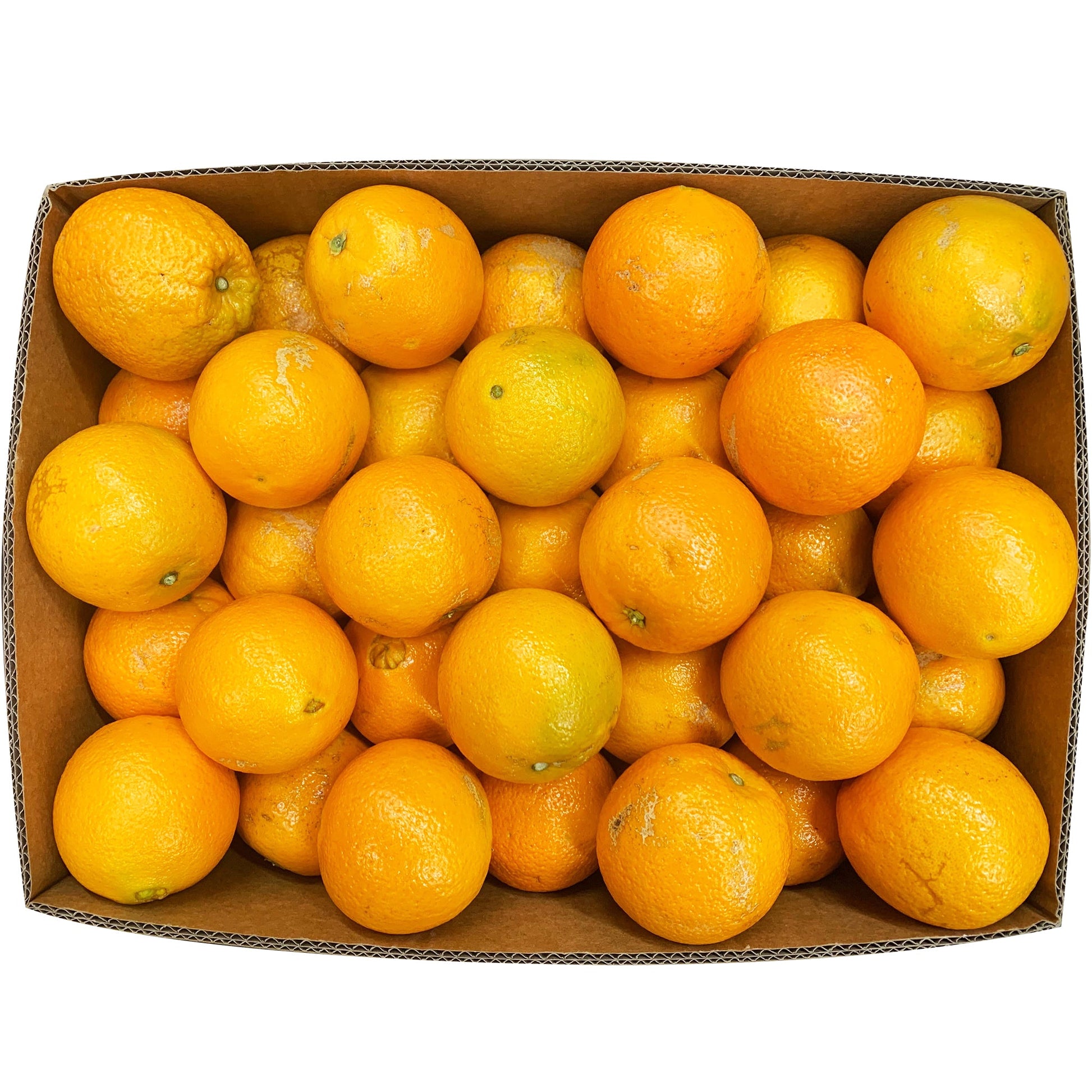 Oranges Navel Case | Harris Farm Online