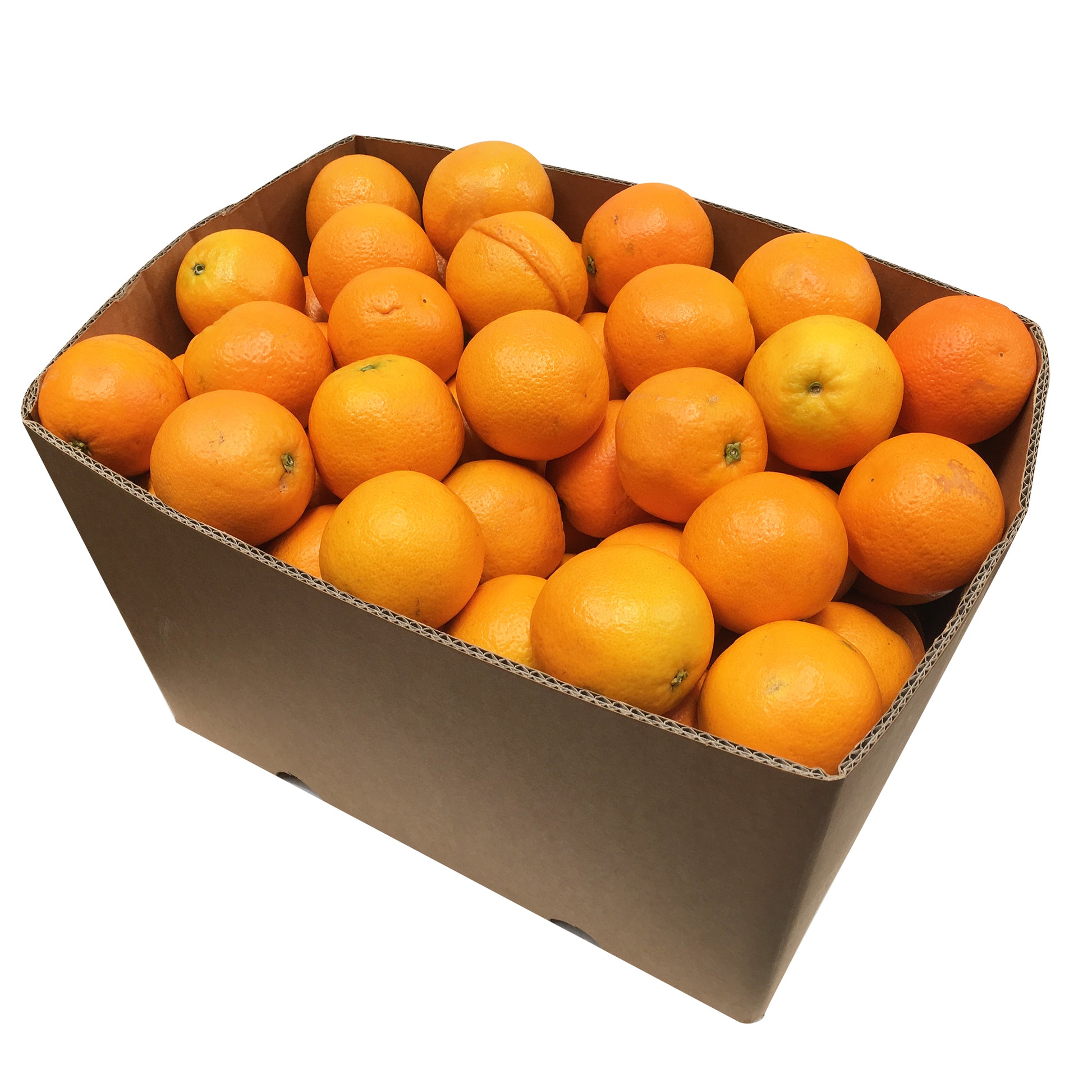 Oranges Valencia Box 15kg | Harris Farm Online