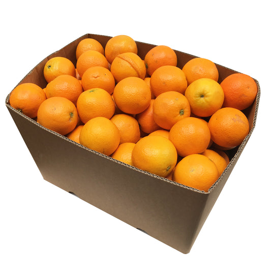 Oranges Valencia Box 15kg | Harris Farm Online