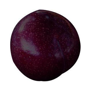 Plum Angelina Each