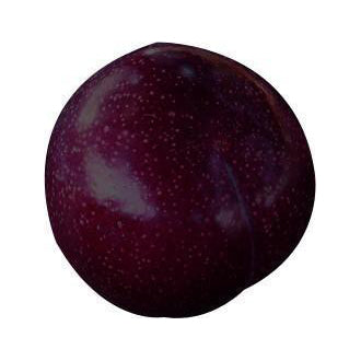 Plum Early Queen Each