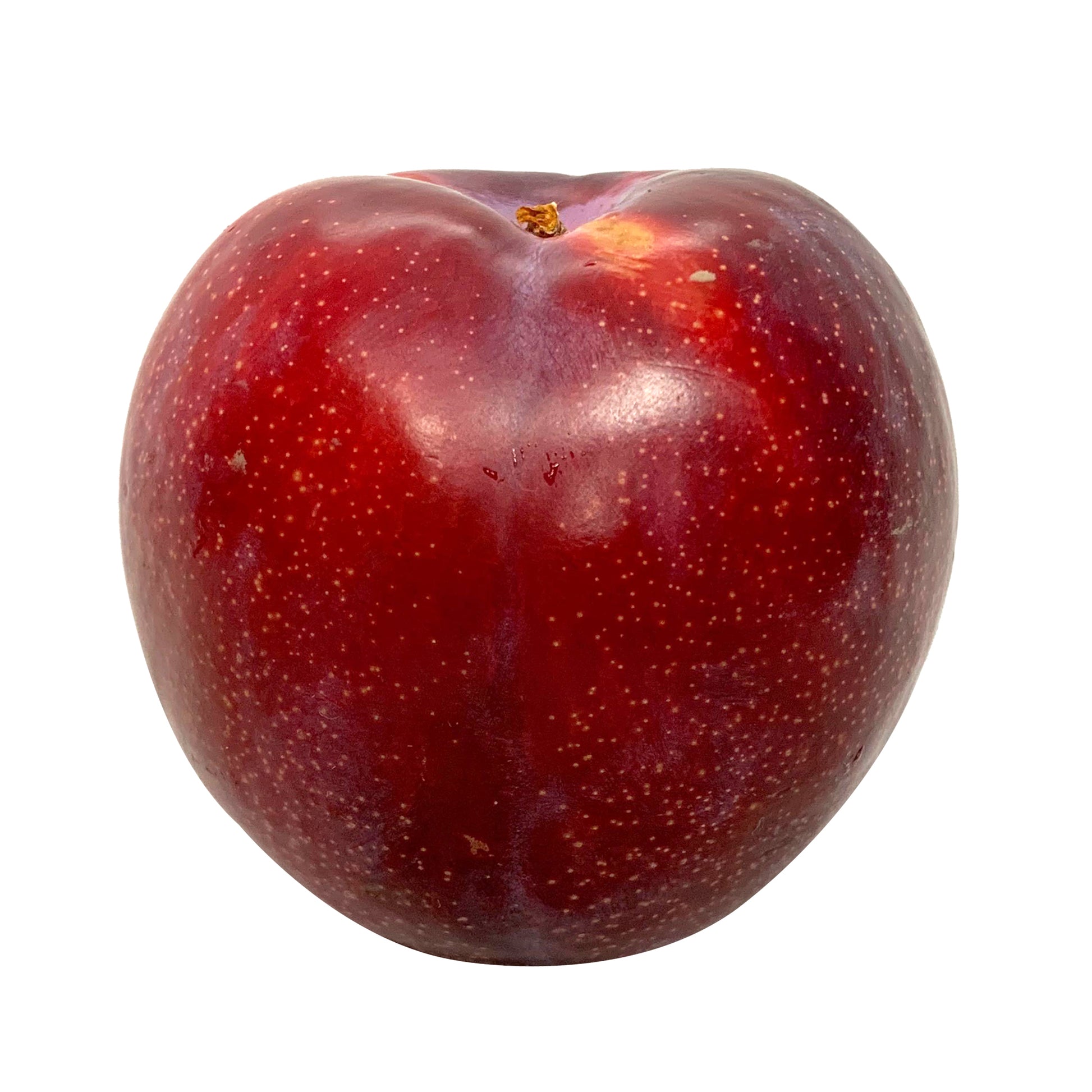 Plums - Eagle Egg | Harris Farm Online