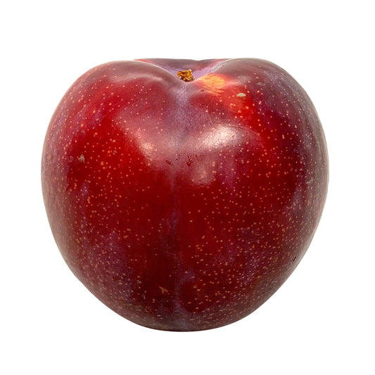 Plums - Eagle Egg | Harris Farm Online