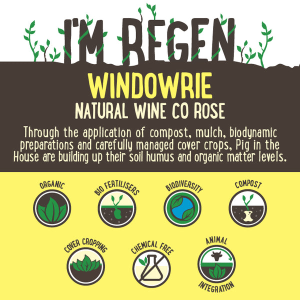 Natural Wine Co Rose | Harris Farm Online