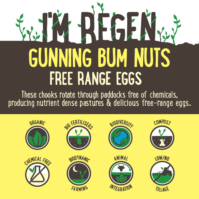 Gunning Bum Nuts Eggs Free Range | Harris Farm Online