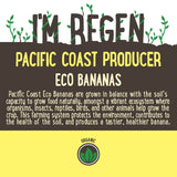 Eco Bananas | Harris Farm Online