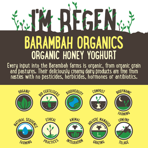 Barambah Organics Bush Honey Yoghurt | Harris Farm Online