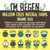 Mulloon Creek Biodynamic Pasture Raised Organic Eggs x6 350g | Harris Farm Online