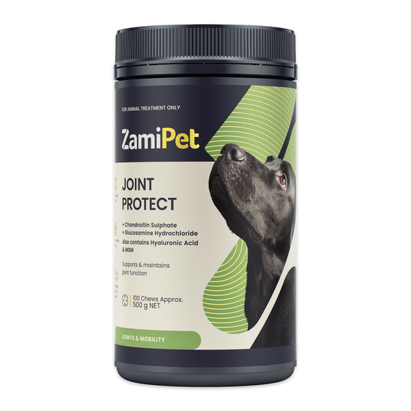 ZamiPet Dog Joint Protect 500g | Harris Farm Online