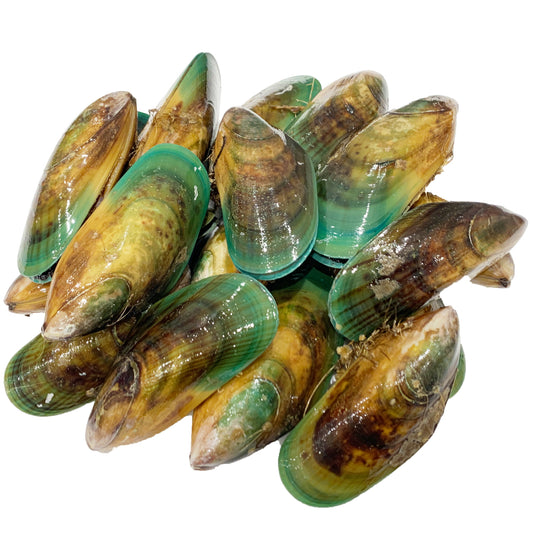 Thawed Greenlip Mussels | Harris Farm Online