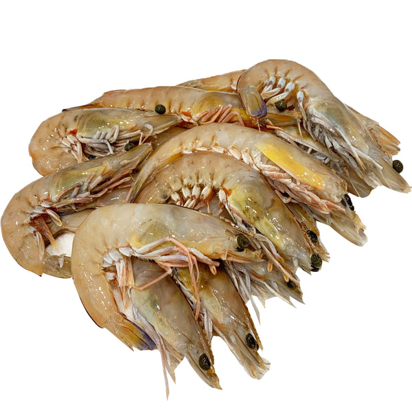 Raw King Prawns Large | Harris Farm Online