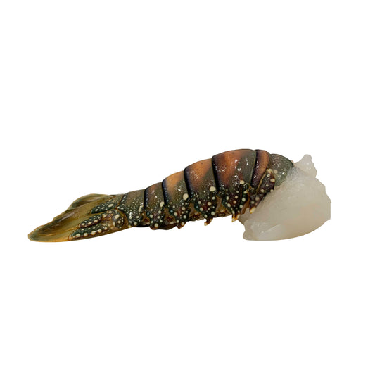 Raw Lobster Tail | Harris Farm Online