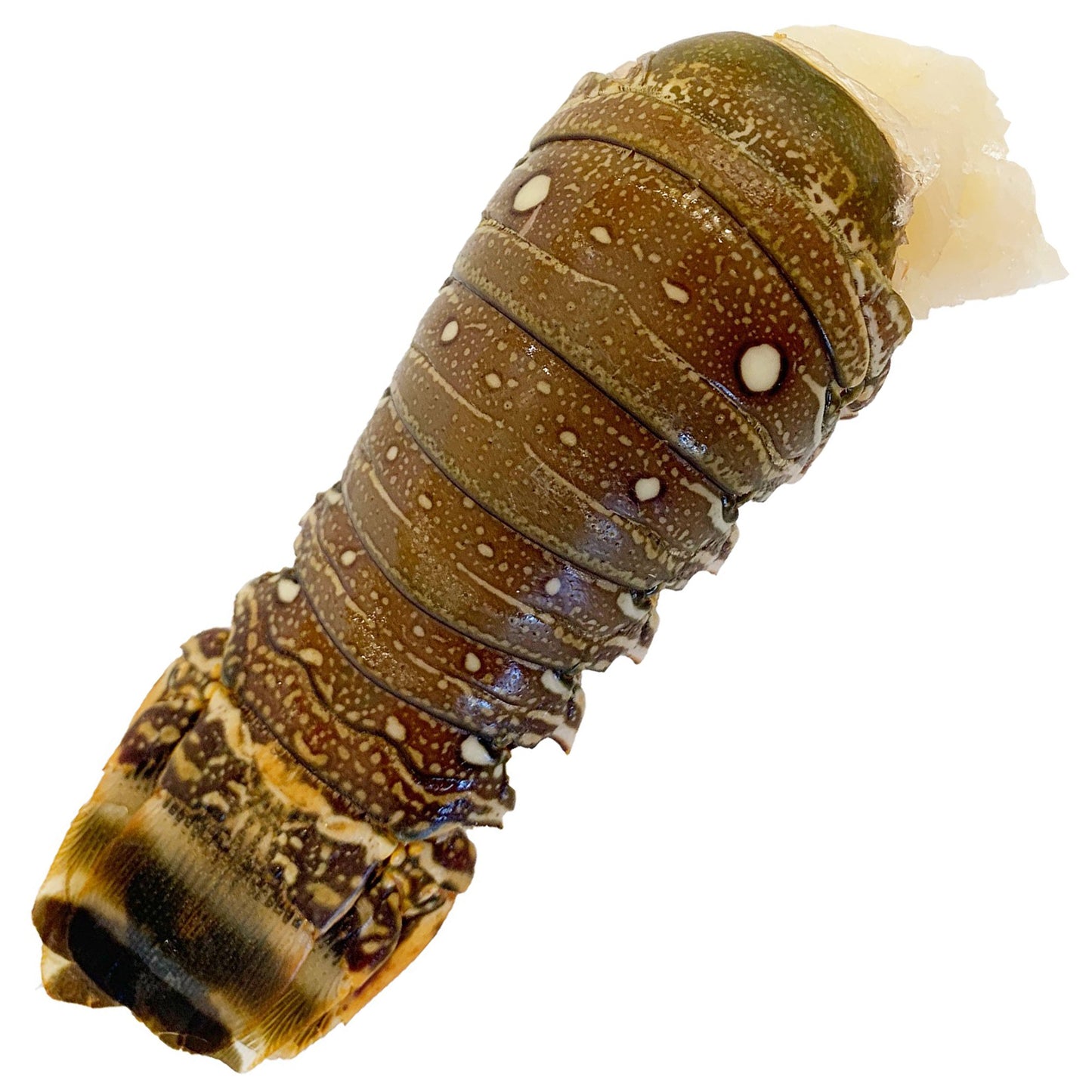 Lobster Tail Raw (each) cleaned