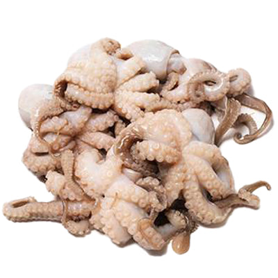 Fish in the Family Baby Octopus | Harris Farm Online