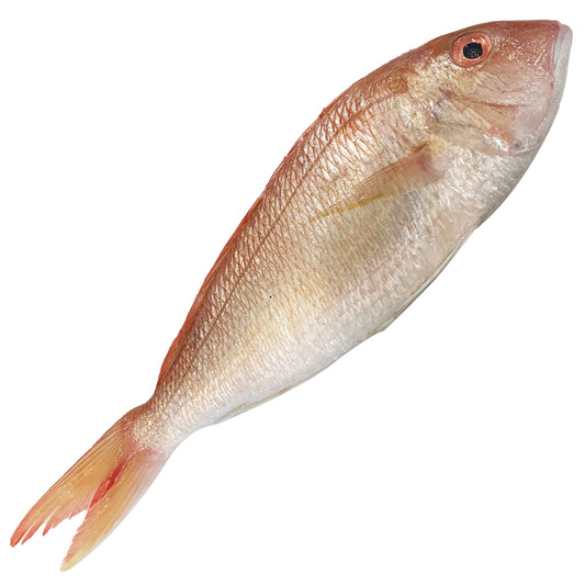 Threadfin Bream (min 1kg) Whole, Scaled, Gutted
