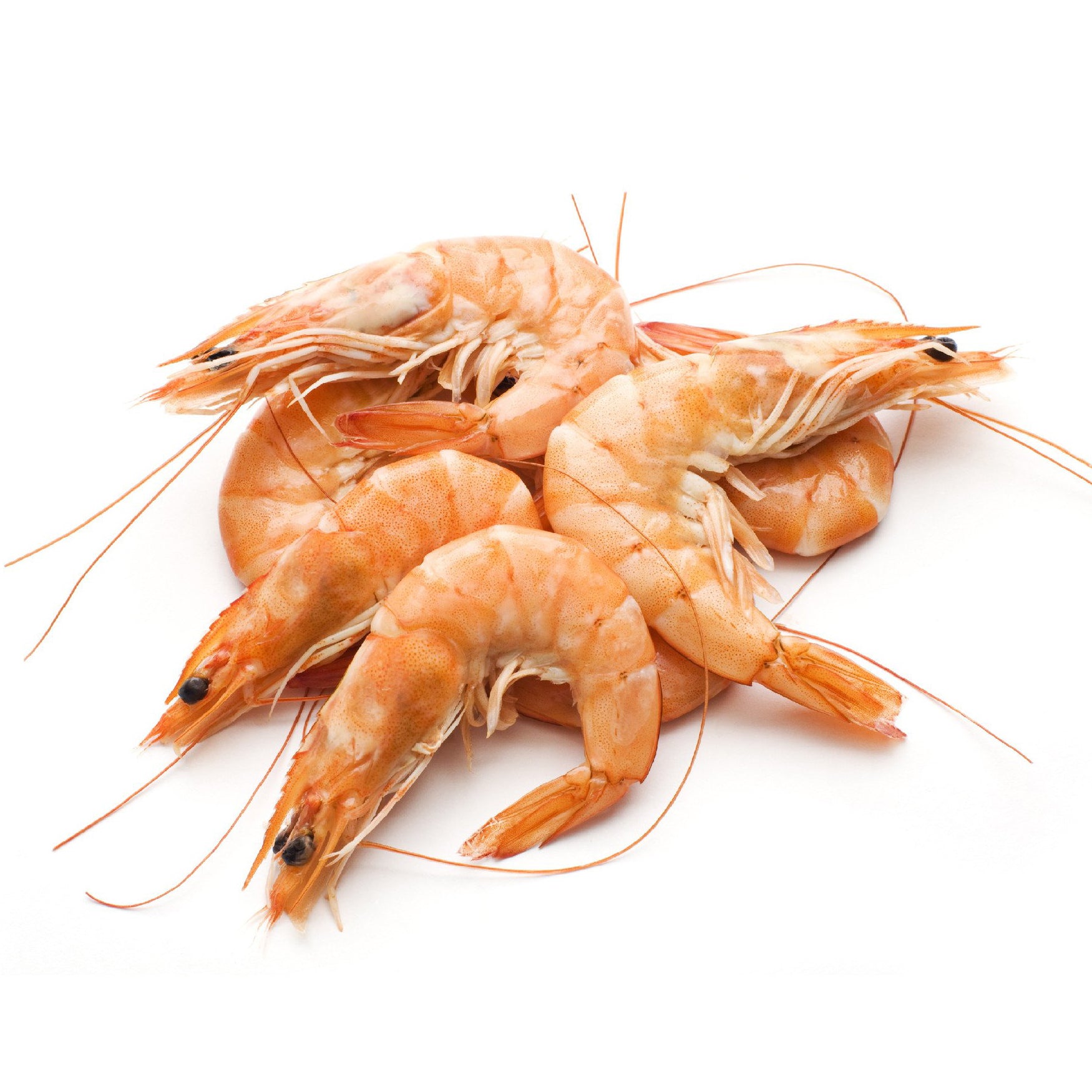 King Prawns Small Cooked | Harris Farm Online