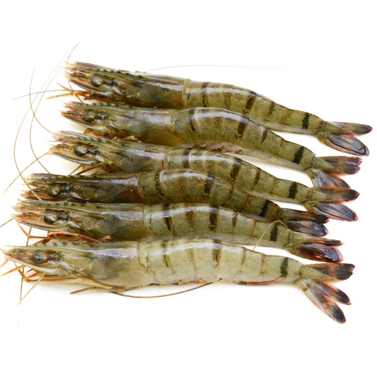 Ocean Tiger Prawns Large Raw | Harris Farm Online