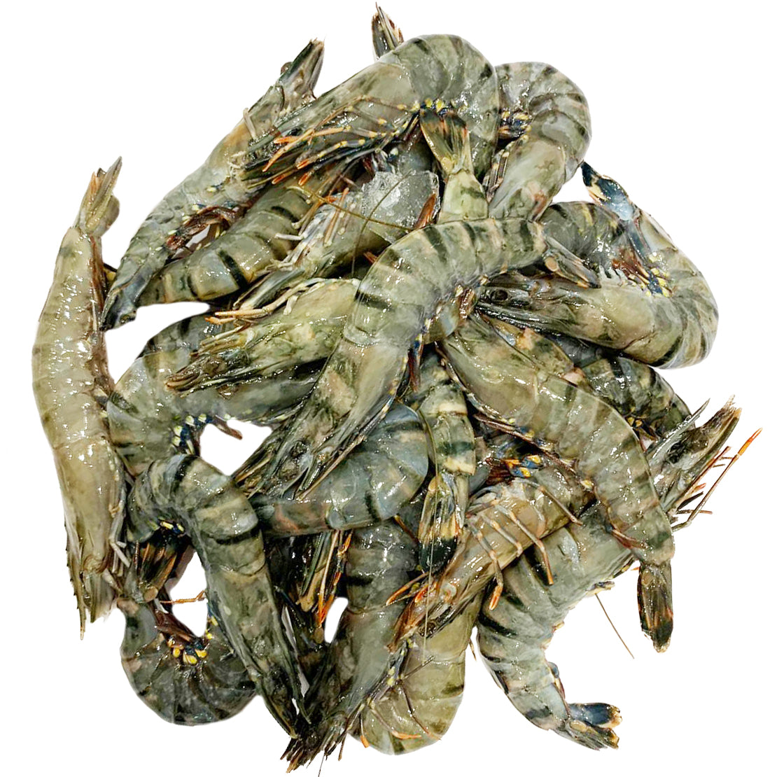 Sydney Fresh Seafood Raw Tiger Prawns Large | Harris Farm Online