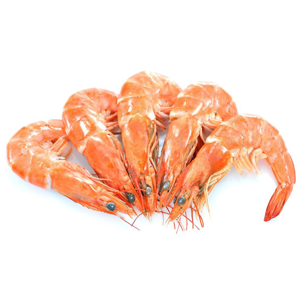 King Prawns Wild Caught Cooked | Harris Farm Online