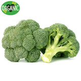 Fresh Broccoli Organic | Harris Farm Online