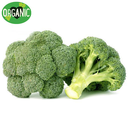 Fresh Broccoli Organic | Harris Farm Online