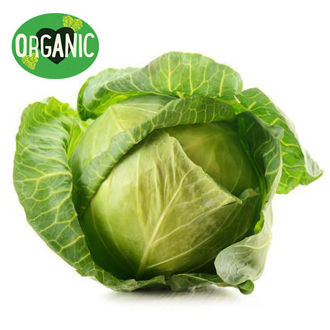 Fresh Cabbage Organic | Harris Farm Online