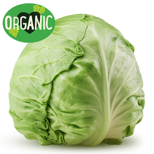 Fresh Cabbage Organic (whole) | Harris Farm Online