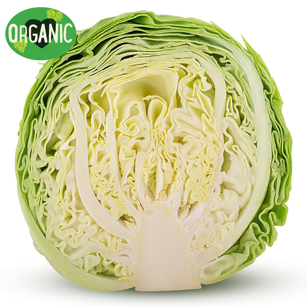 Cabbage Organic (Half) | Harris Farm Online