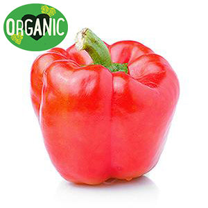 Capsicum Red Organic | Harris Farm Online