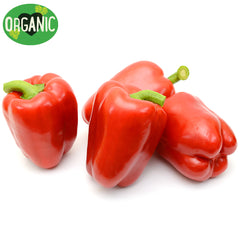 Capsicum Red Organic | Harris Farm Online