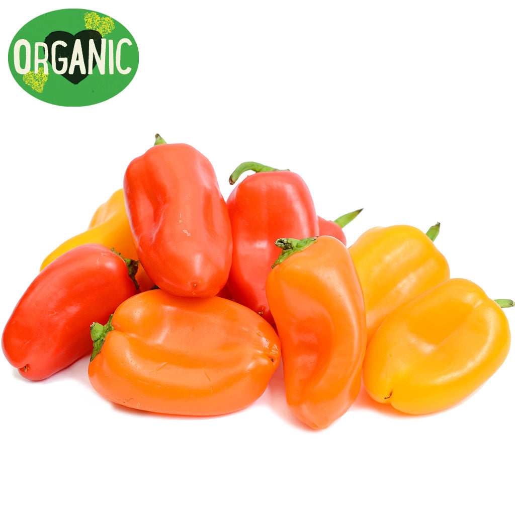 Capsicus Buy Capsicums Baby Mixed Colour | Harris Farm Markets