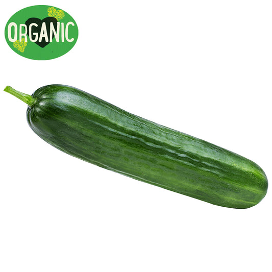 Cucumber Lebanese Organic | Harris Farm Online