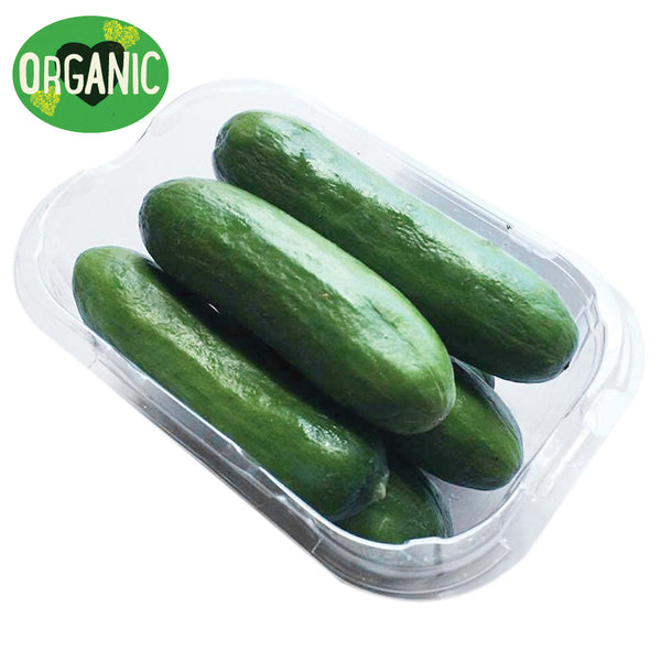 Baby Cucumbers Organic | Harris Farm Online