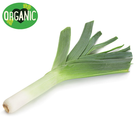 Leek Organic | Harris Farm Online