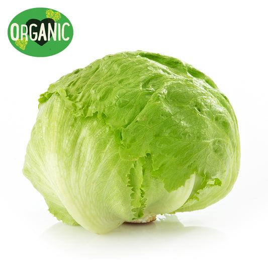 Lettuce Iceburg Organic