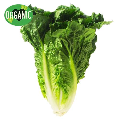 Baby Cos Twin Pack Organic