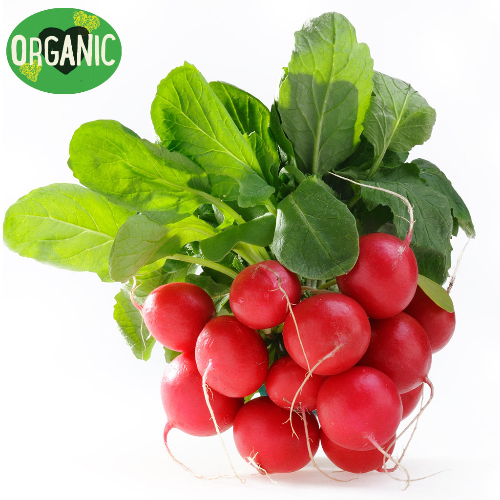 Radish Red Organic | Harris Farm Online