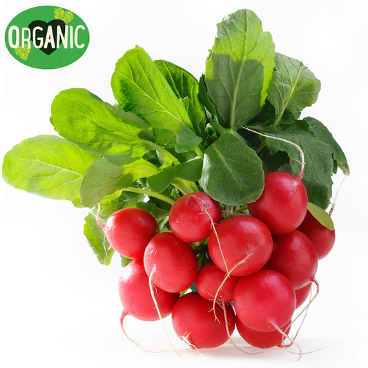 Radish Red Organic | Harris Farm Online