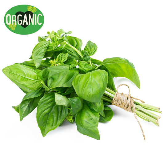Basil Organic  | Harris Farm Online