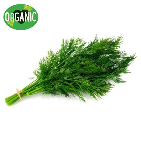 Organic Dill | Harris Farm Online