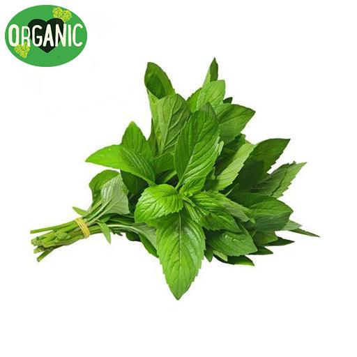 Fresh Herbs Organic Mint | Harris Farm Online
