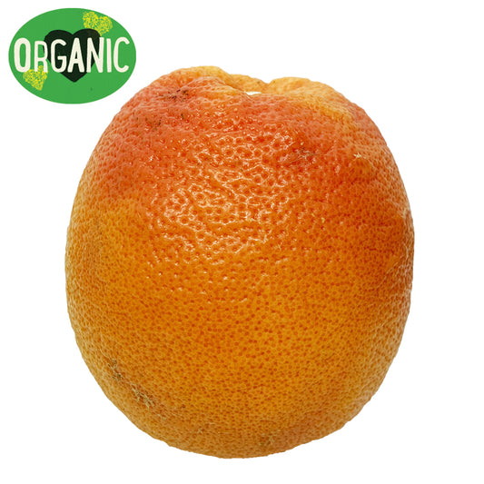 Grapefruit Ruby Red Organic Each