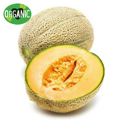 Rockmelon Organic Large | Harris Farm Online