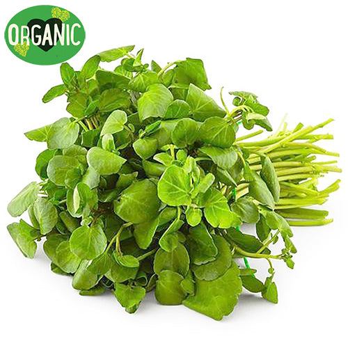 Watercress Organic | Harris Farm Online
